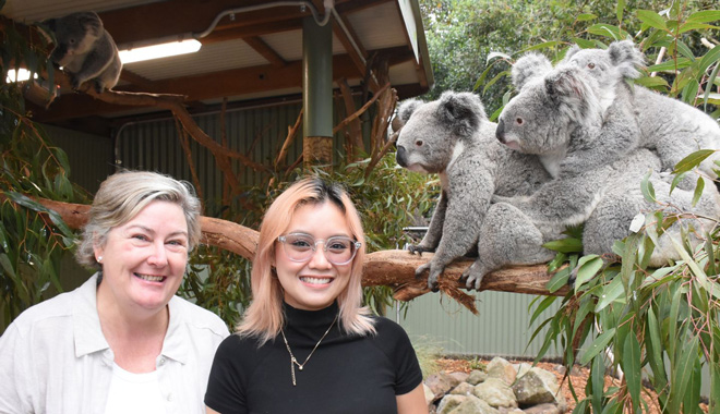 WEB TERTIARY (1440 x 960 px)   213