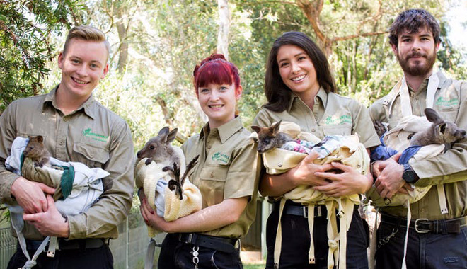 Featherdale Wildlife Park 2698