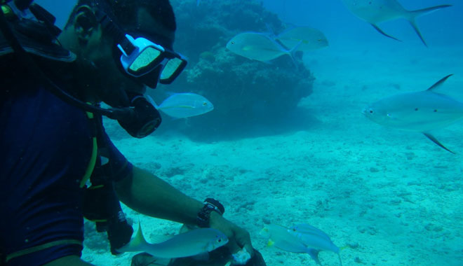 Fiji Awesome Pass Island5