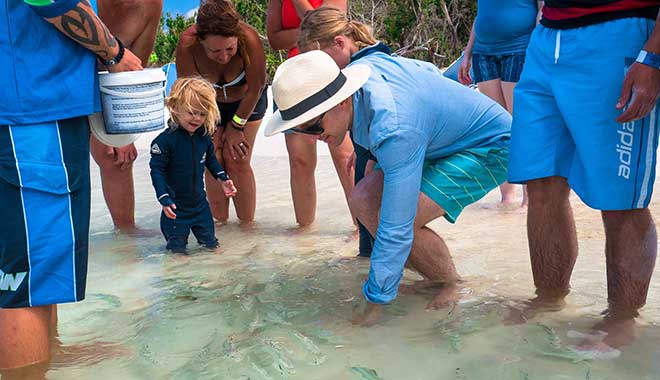 Fish Feeding at the beach