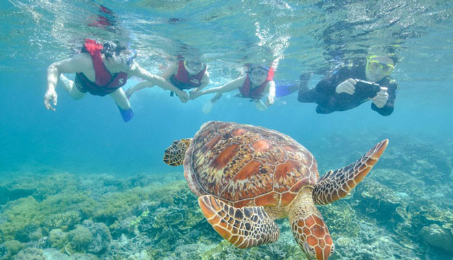 Fitzroy Island Best of Island 003