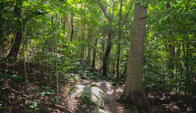 Fitzroy Island Combo21