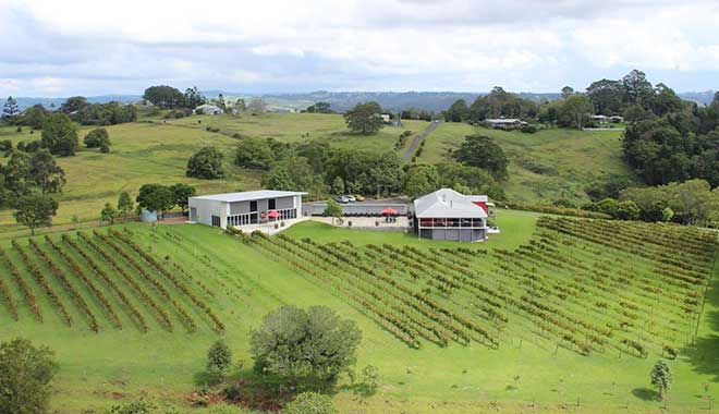 Flame Hill Vineyard 1