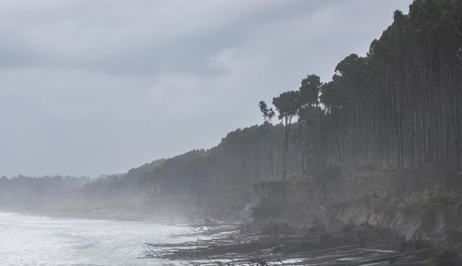 Fox Glacier to Greymouth Day Tour (1)