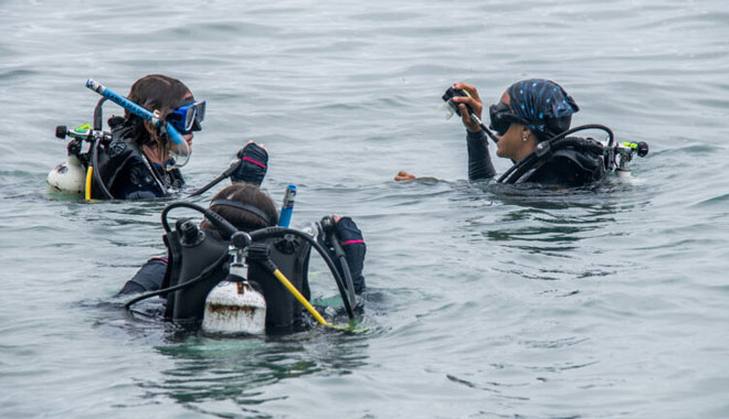 Frankland Island dive