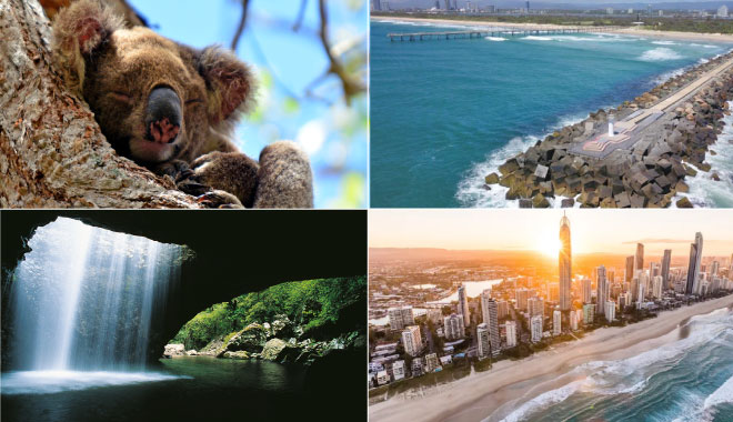 GC DAY tour gold coast