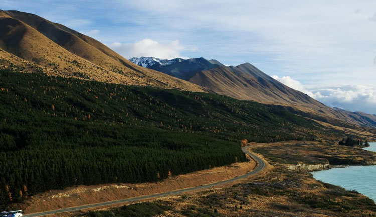 GRAYLINE DAY TOUR NZ