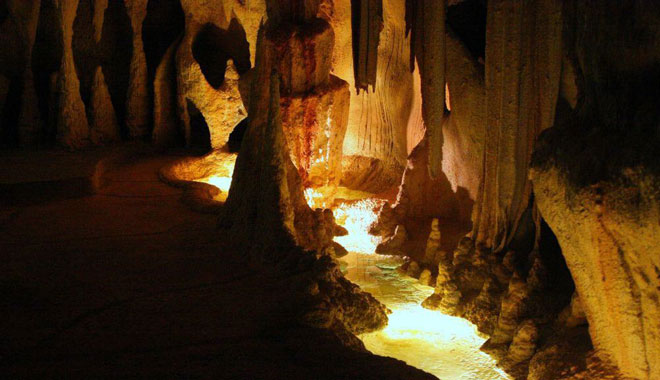 Glow Worm Day Tour MT tamorine 001