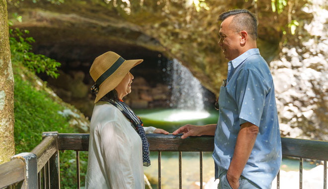 Gold Coast Nature & Wildlife Day Tour 001