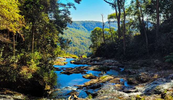 Purlingbrook Falls, Springbrook National Park, Gold Coast, Queen