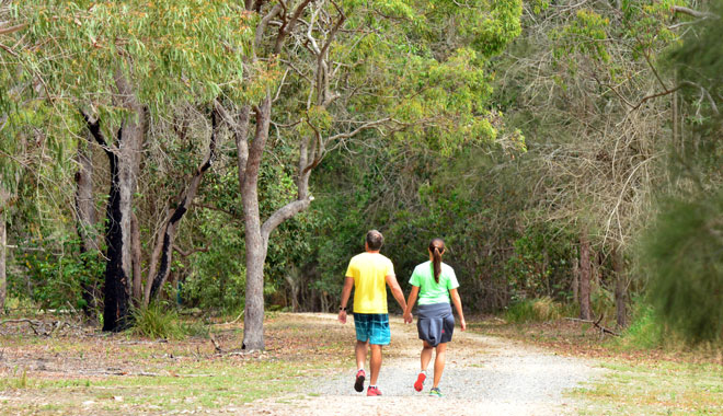 Gold Coast Nature & Wildlife Day Tour 018