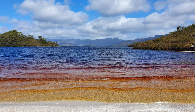 Gordon Dam and Lake Pedder Wilderness WED 04
