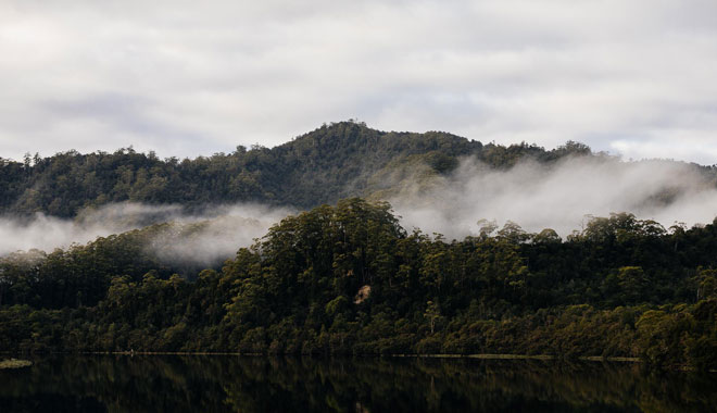 Gordon River Cruise 9