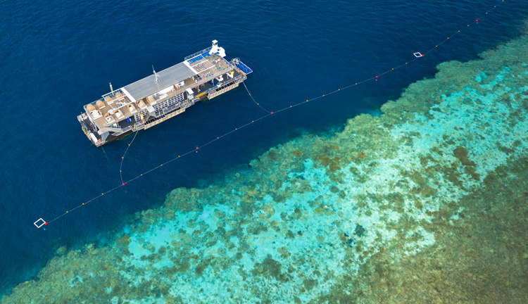 Great Barrier Reef Adventure CW 09