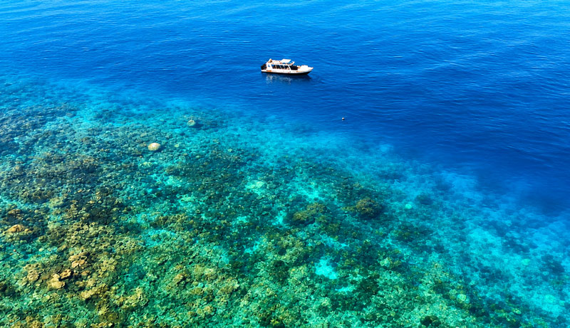 Great Barrier Reef Snorkel Cruise 2015