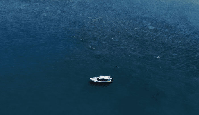 Great Barrier Reef Snorkel Cruise Tour Townsville WEB 01