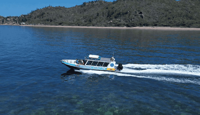 Great Barrier Reef Snorkel Cruise Tour Townsville WEB 02