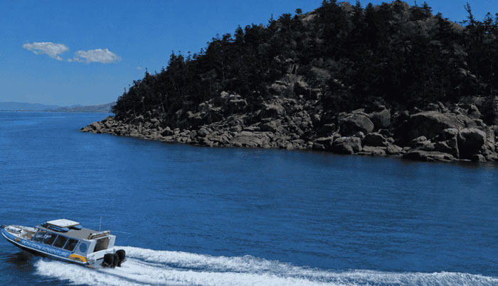 Great Barrier Reef Snorkel Cruise Tour Townsville WEB 16