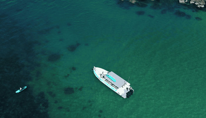 Great Barrier Reef Snorkel Cruise Tour Townsville WEB 35