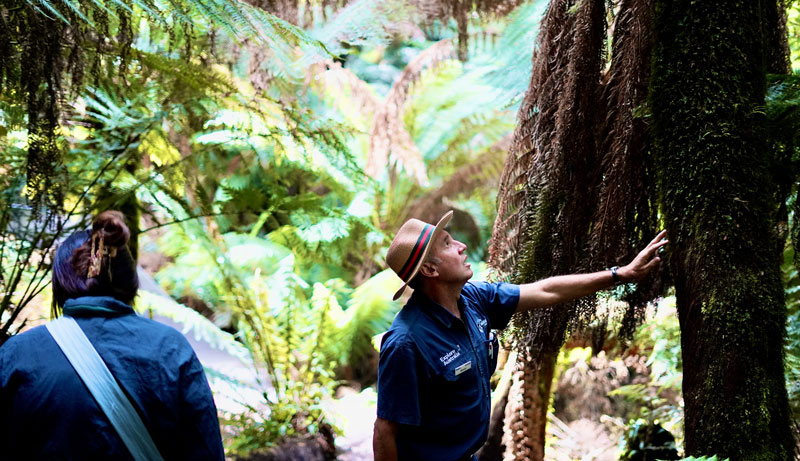 Great Ocean Road EXPORE Tour 1025