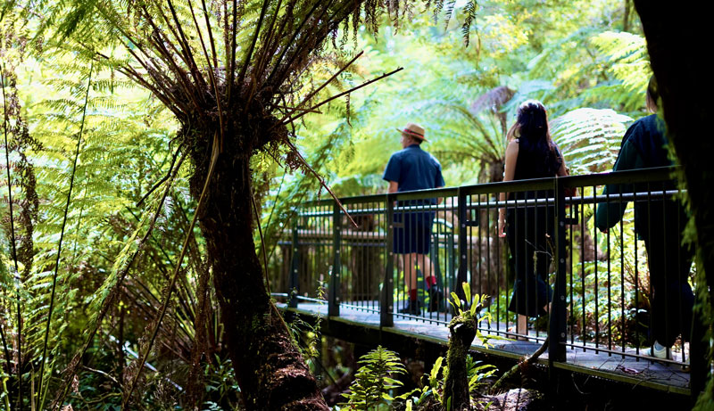 Great Ocean Road EXPORE Tour 1027