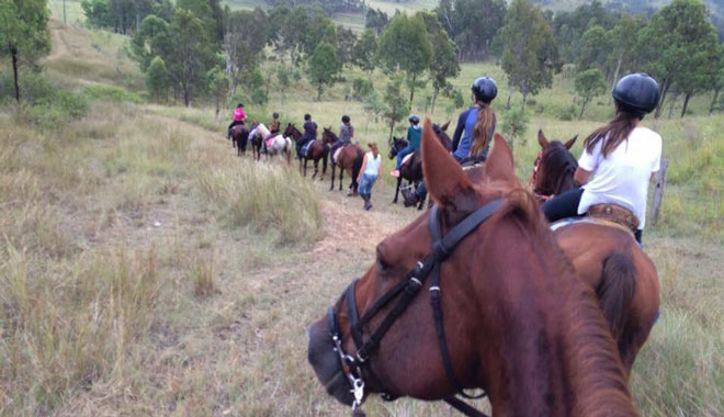 Gummies Farm Tours 002