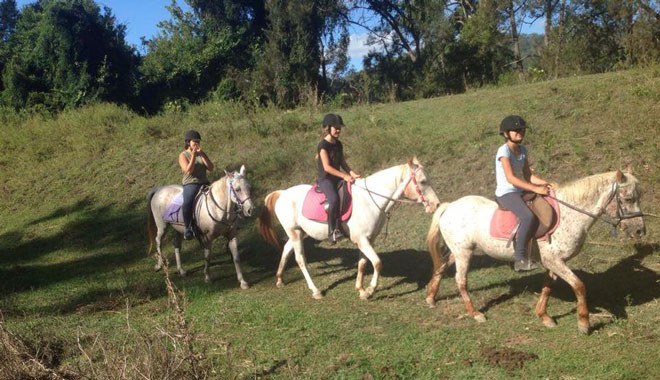 Gummies Farm Tours 004