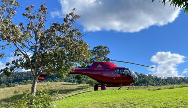 HELICOPTER WINE TOUR HUNTER VALLEY 003