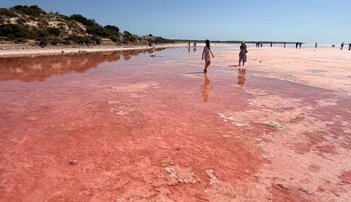 HUTT LAGOON 003