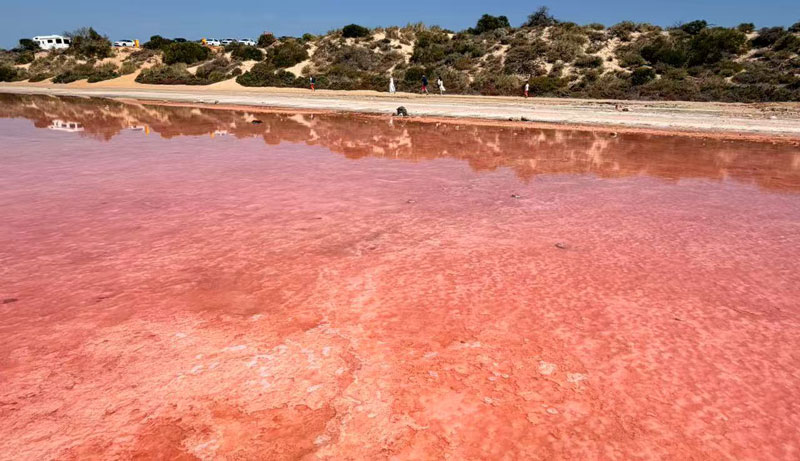 HUTT LAGOON 65