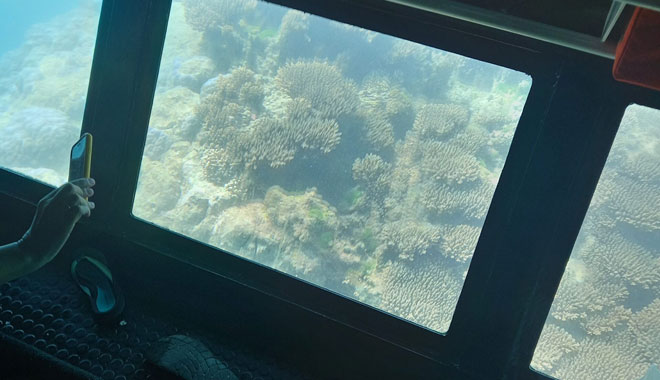 Half Day Snorkel & Coral Viewing Exmouth West Australia 101