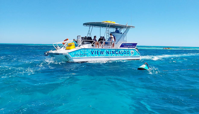 Half Day Snorkel & Coral Viewing Exmouth West Australia 121