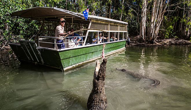 Hartley Crocodile Adventures 1