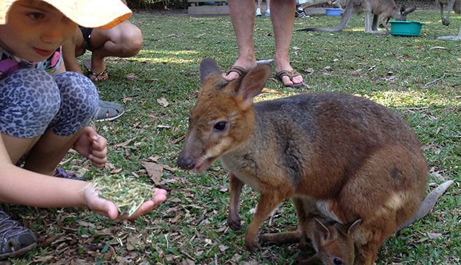 Hartley Crocodile Adventures 15