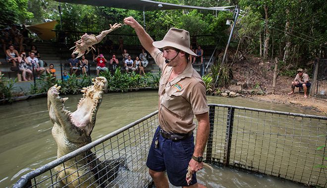 Hartley Crocodile Adventures 2