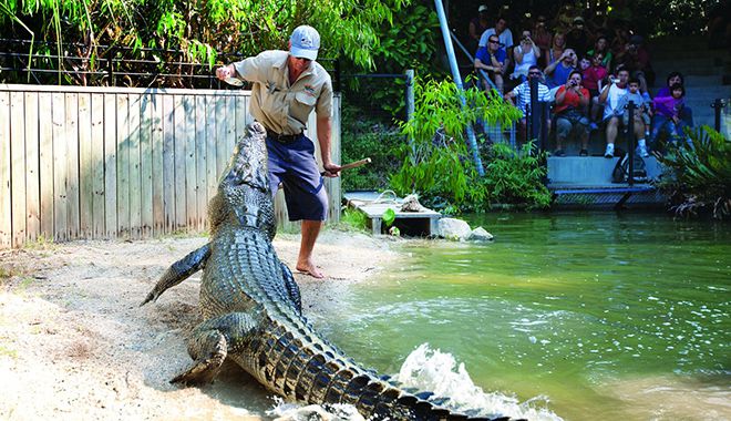 Hartley Crocodile Adventures 3