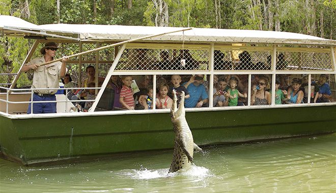 Hartley Crocodile Adventures 4