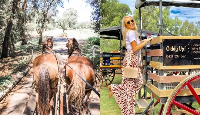 Harvest the Hunter Wine and Produce Tour (1)