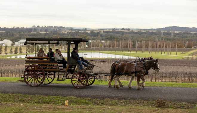 Harvest the Hunter Wine and Produce Tour (2)
