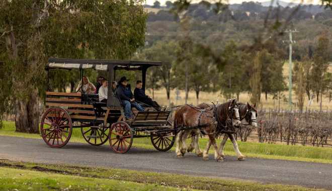 Harvest the Hunter Wine and Produce Tour (3)