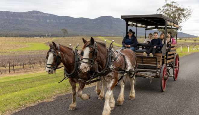 Harvest the Hunter Wine and Produce Tour (4)