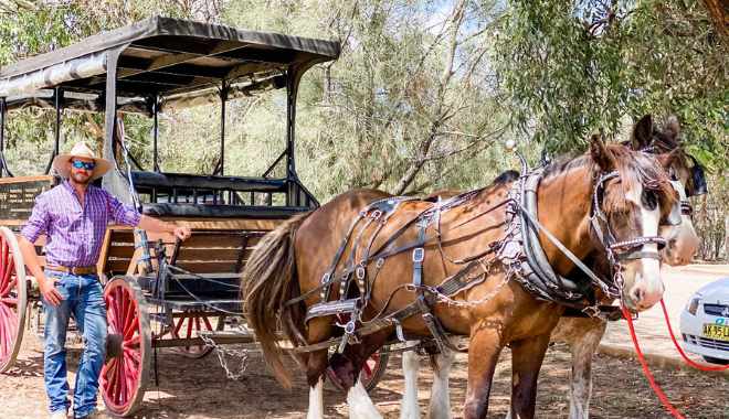 Harvest the Hunter Wine and Produce Tour (6)