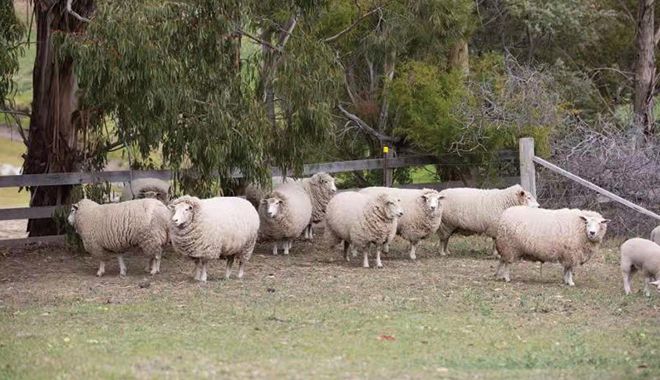 Hatchers of Richmond 10