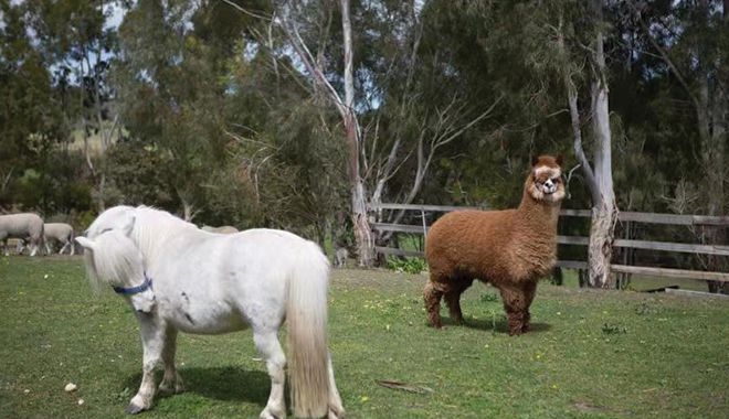 Hatchers of Richmond 7