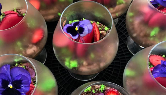 Hens Party Half Day Mount Tamborine Winery Tour 2