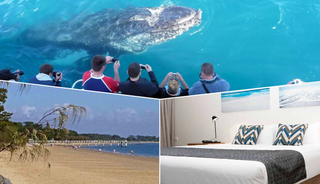 Hervey Bay Whales Watching chinese