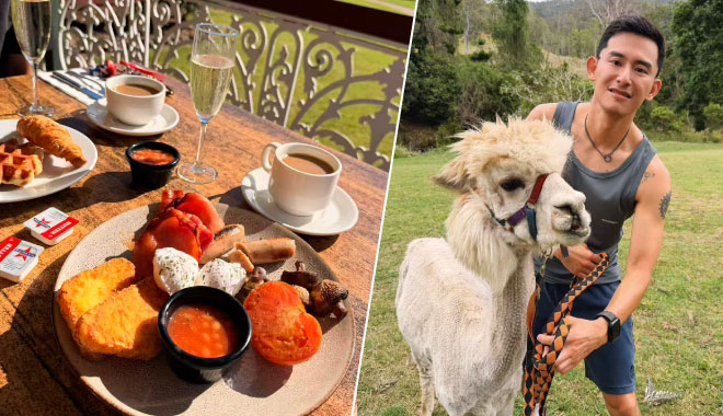 Hot Air 3001 Breakfast Alpaca