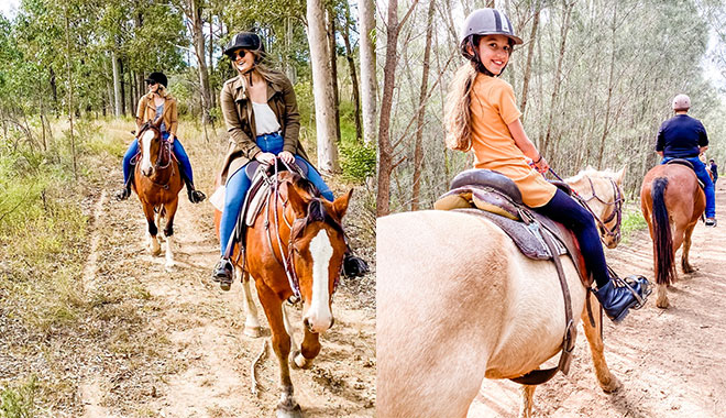 Hunter Valley Horses 009 WEB