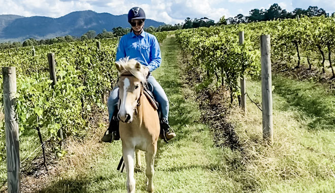Hunter Valley Horses 019 WEB