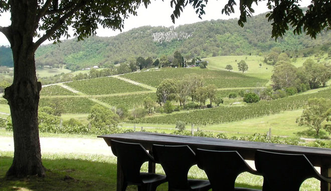 Hunter Valley Wine Tasting Day Tour2